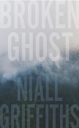 cover of Niall Griffiths' novel, Broken Ghost;